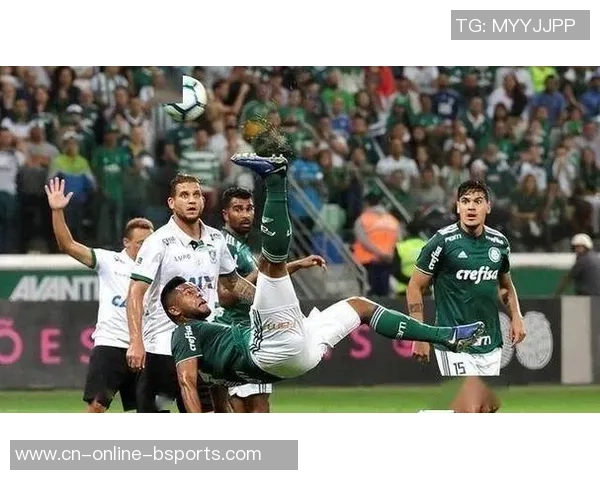 帕尔梅拉斯对阵桑托斯赛事分析与结果预测全方位解读